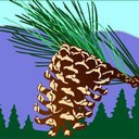 SOUTHERN CALIFORNIA MOUNTAINS FOUNDATION company logo