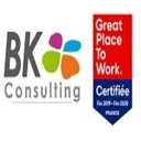 BK Consulting company logo