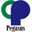 社会医療法人ペガサス　馬場記念病院 company logo