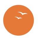 Suryoday Small Finance Bank company logo