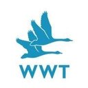 Wildfowl and Wetlands Trust company logo