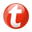 Tempo-Team company logo