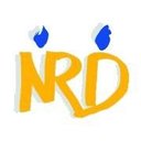 Nieder-Ramstädter Diakonie company logo