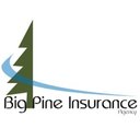Big Pine Insurance Agency company logo