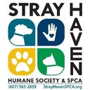 Stray Haven Humane Society & SPCA company logo