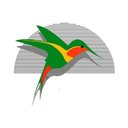 Colibri company logo