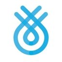 Flinks company logo