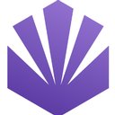BoardCerts, Inc. company logo