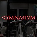 Gymnasium Wellness &amp; SPA Clubs company logo