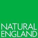 Natural England company logo