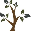 Holistic Consultation company logo