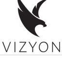 Vizyon Design Group company logo
