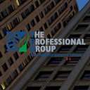 THE PROFESSIONAL GROUP company logo