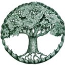 Willowhayne Gardens Ltd company logo