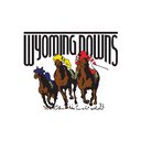 WYOMING DOWNS, LLC company logo