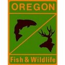 Department of Fish and Wildlife company logo