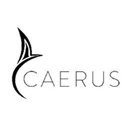 CAERUS CORP company logo