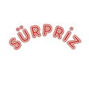 SAS Sürpriz company logo
