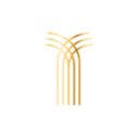 Divine company logo