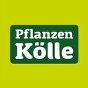 Pflanzen-Kölle Gartencenter GmbH &amp; Co. KG company logo