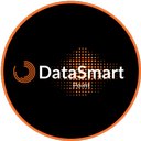 DataSmart Point company logo