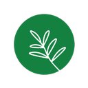 Paché Montessori company logo
