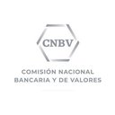 COMISIÓN NACIONAL BANCARIA Y DE VALORES company logo
