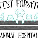 West Forsyth Animal Hospital company logo