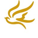 St Agnes Healthcare company logo