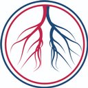 American Endovascular and Amputation Prevention company logo