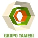 Grupo Tamesi company logo