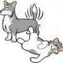 Happy Tails company logo