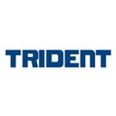 Trident Automobiles company logo