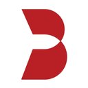 Brandt Information Services. LLC company logo