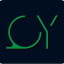 QY Search &amp; Advisory company logo
