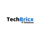 TechBricx IT Solutions company logo