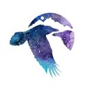 North Cascades Institute company logo