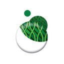 Credit Repair Australia company logo