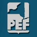 NYS Public Employees Federation company logo