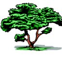 MA.DI.GREEN SRL company logo