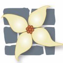 Stone Blossom Landscape & Design, LLC company logo