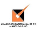 Minas de Oro Nacional company logo