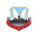 ALAS DE SEGURIDAD PRIVADA SA DE CV company logo
