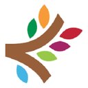 Bridges Consulting company logo