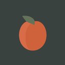 Apricott ABA company logo
