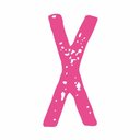 Xclusive Car Styling company logo