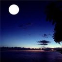 Moonlight Group Homes/ Sunshine Community Center/ Sunset Meadow company logo