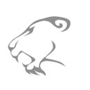 Manguard Plus Ltd company logo