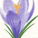 Springfield House Nursing Home company logo