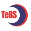 Total eBiz Solutions Pte. Ltd company logo